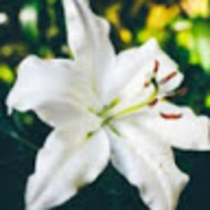 Meet your Posher, Corynn